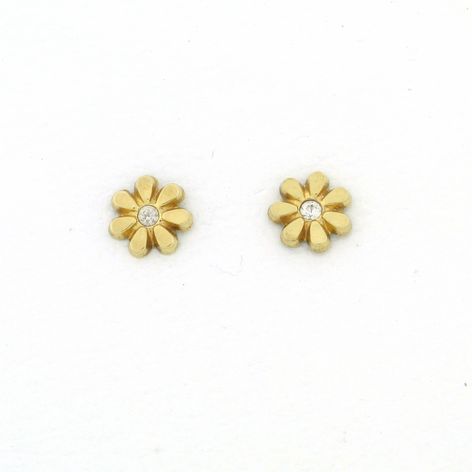 PENDIENTES GARRA CON CIRCONITA ESTRELLA (5 x 5mm)