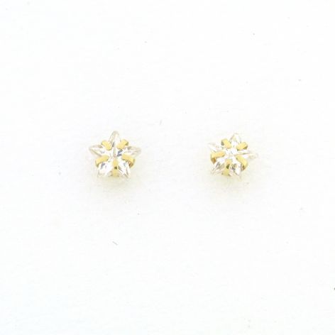 PENDIENTES GARRA CON CIRCONITA ESTRELLA (6 x 6mm)